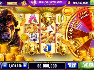 Campeonbet User Profile and Wallet