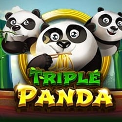 Triple Panda screenshot